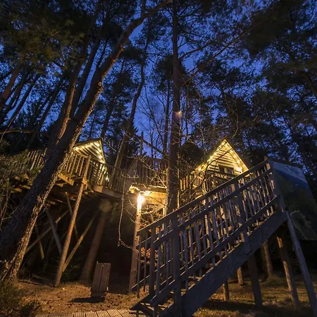 Nids Des Vosges Champdray