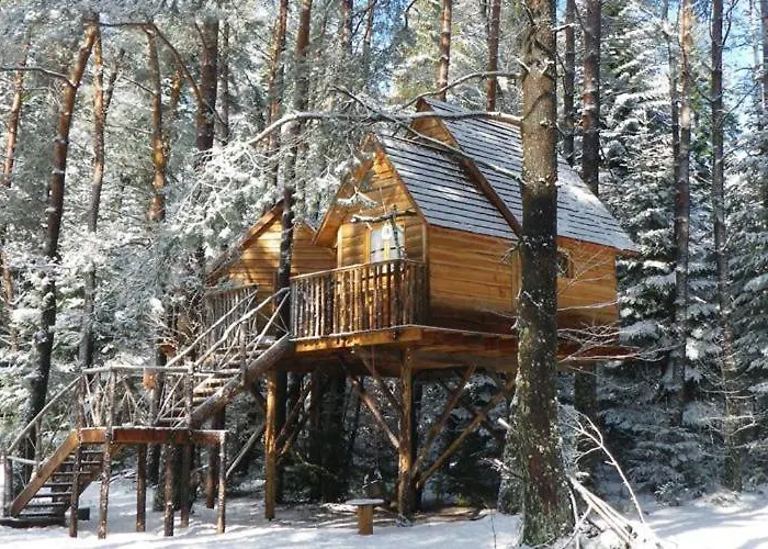 Nids Des Vosges Отель типа 