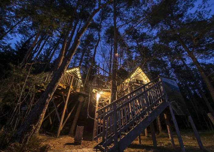 Nids Des Vosges Champdray