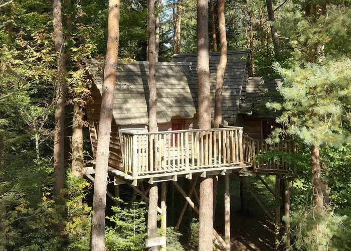 Nids Des Vosges Отель типа 